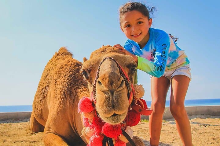 Camel Ride on Migrino Beach: Private Small-Group Coastal Adventure in Cabo