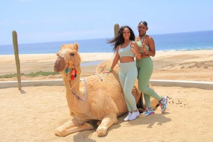 Private ATV and Camel Ride on Migrino White-Sand Beach — Cabo San Lucas photo 4