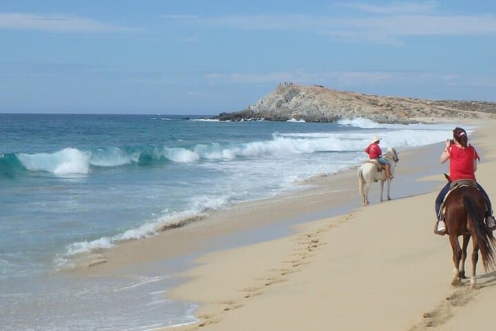 Baja Do-It-All Adventure: Sky Bike, Camel, Horseback & ATV in Cabo photo 2