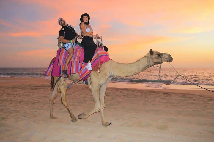 Camel Ride on Migrino Beach: Private Small-Group Coastal Adventure in Cabo photo 5