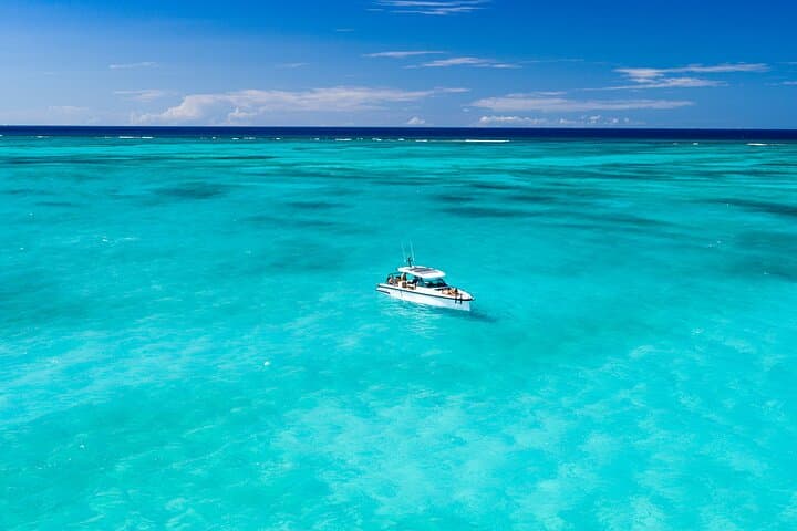 Half-Day Private Axopar Charter in Grace Bay — Snorkel the Third-Largest Barrier Reef & See Rock Iguanas photo 3