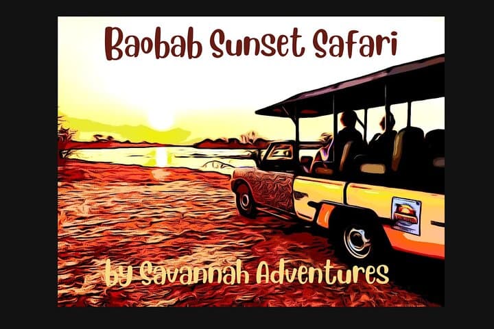 Baobab Sunrise, Sunset & Moonlight Safaris at Victoria Falls — Small-Group Wildlife Drives