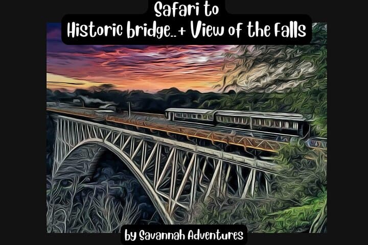 Walking Safari to Victoria Falls Bridge — Wildlife, Border Crossing & Bridge Views photo 1