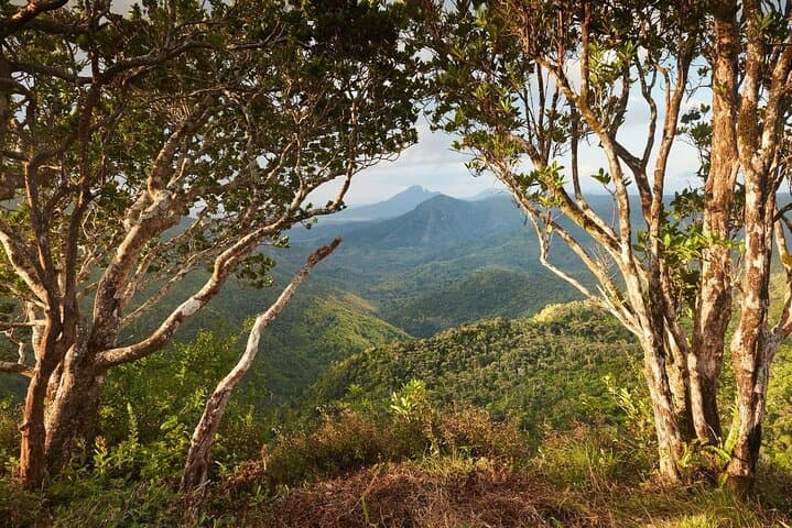 Southwest Mauritius Chamarel Jeep Safari & Seven Coloured Earth Day Tour photo 4