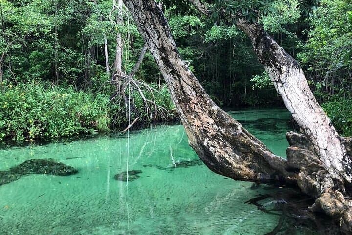 Full-Day Samaná Serenity: Cayo Levantado, Playa Rincón & Mangrove Canoe Tour photo 2