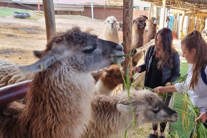 5-Day Andean Adventure: Cusco, Sacred Valley & Machu Picchu photo 2