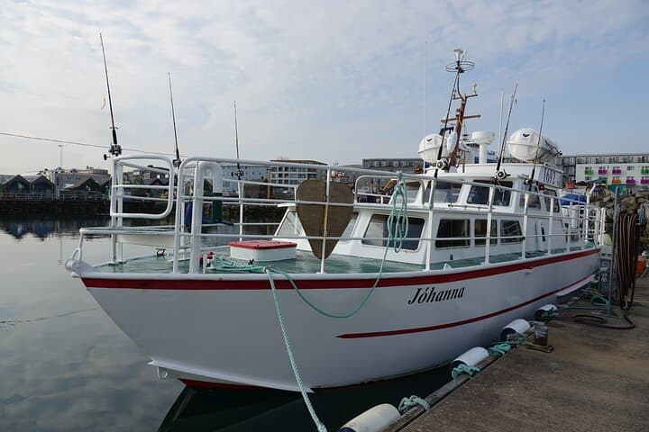Reykjavik Sea Angling Tour: Guided Fishing & BBQ from the Old Harbour photo 3