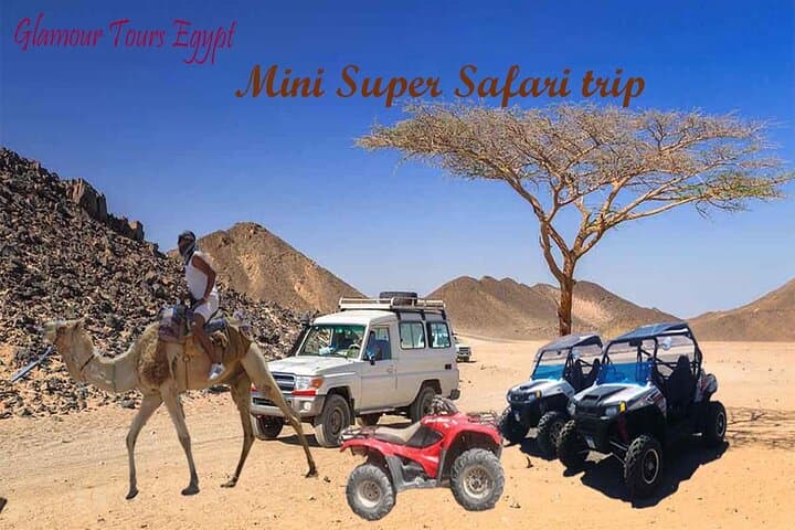 Hurghada Mini Super Safari: Quad, Spider Bike & Bedouin Camp Experience photo 2