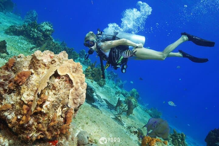 Discover Scuba Diving in Cozumel — Beginner House Reef Dives at Tikila Beach photo 4