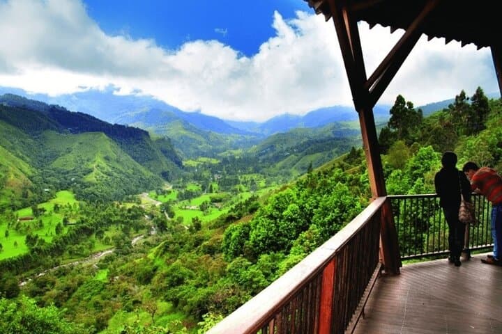 Explore Valle del Cócora and Salento: Full-Day Private Tour from Pereira photo 4