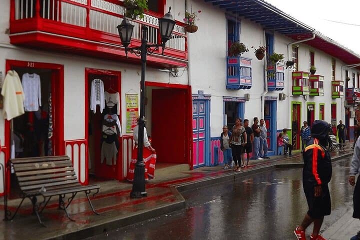 Explore Valle del Cócora and Salento: Full-Day Private Tour from Pereira photo 5