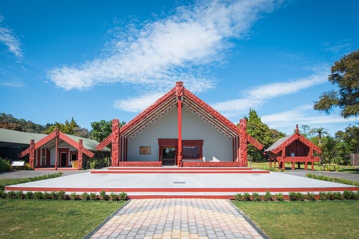 Rotorua Te Puia Day Tour from Auckland — Pohutu Geyser, Haka & Hangi Lunch