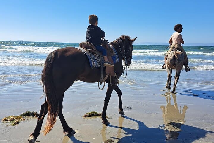 Beach Horseback Riding from Ensenada: Splashing Shores & Desert Trails photo 3
