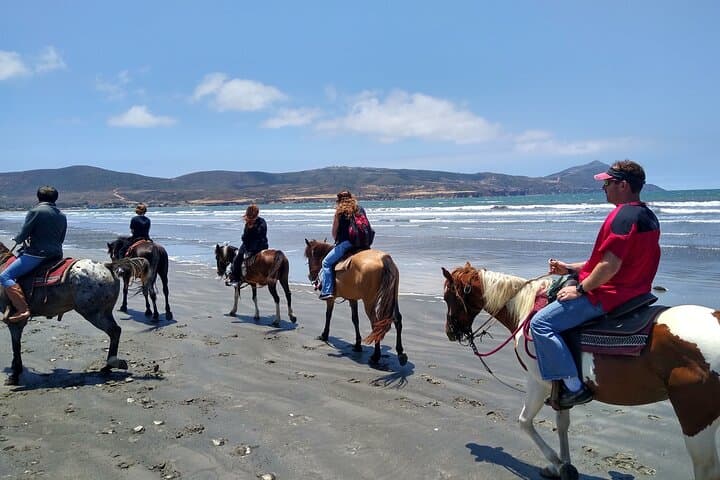 Beach Horseback Riding from Ensenada: Splashing Shores & Desert Trails photo 4