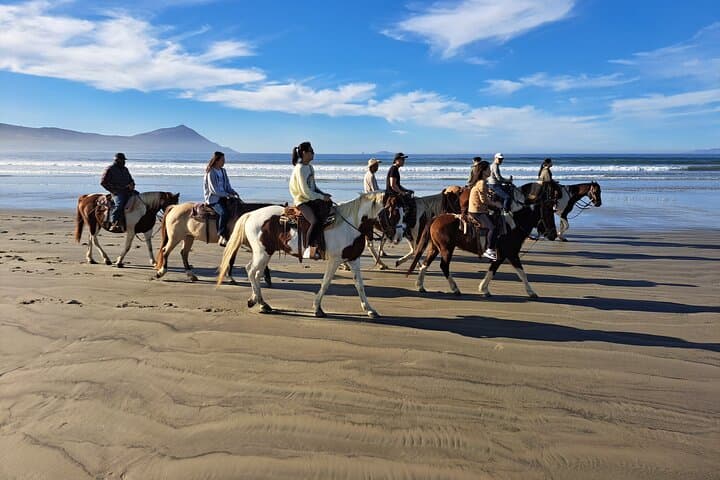 Beach Horseback Riding from Ensenada: Splashing Shores & Desert Trails photo 5
