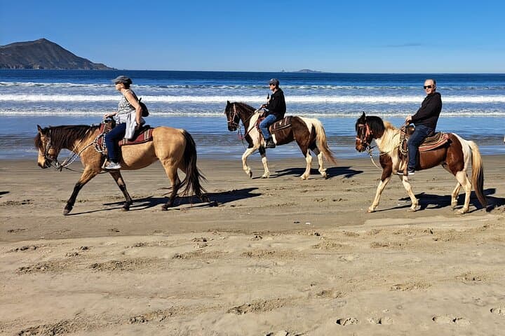 Beach Horseback Riding from Ensenada: Splashing Shores & Desert Trails photo 6