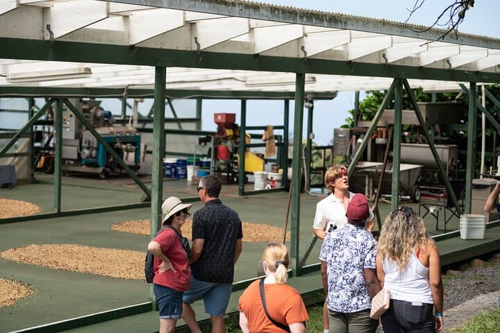 Inside a Kona Coffee Farm Tour: From Cherry to Cup on Hawai'i's Leeward Slopes photo 1