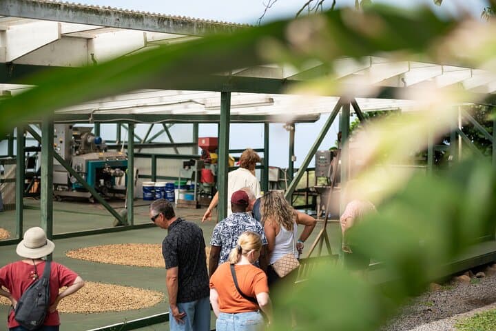Inside a Kona Coffee Farm Tour: From Cherry to Cup on Hawai'i's Leeward Slopes photo 3