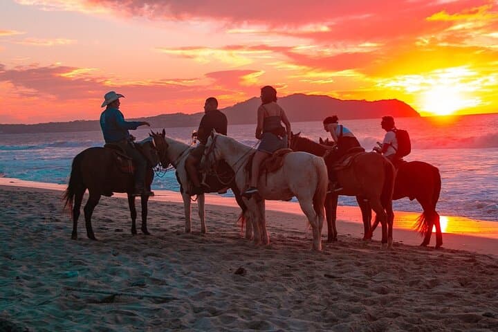 Cabo Combo: ATV & Horseback Ride to Migrino Beach with Tequila Tasting photo 6