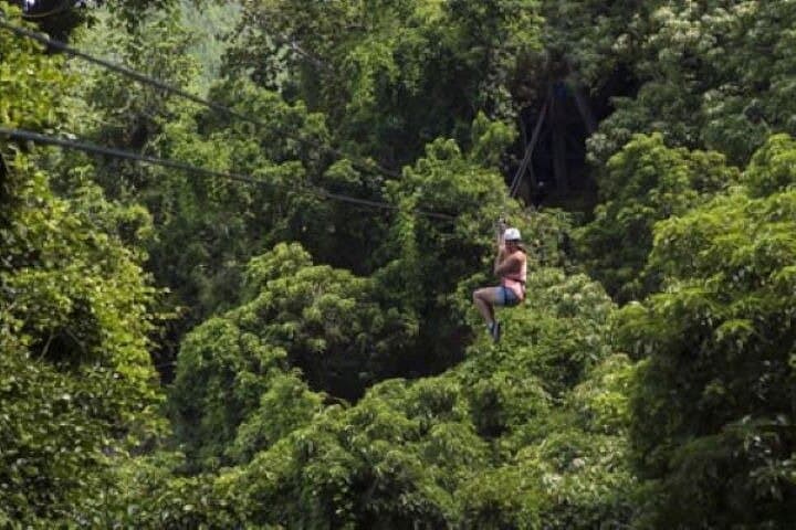 Fiji's Largest Zipline and Limestone Cave Tour from Nadi: 16 Lines, Ocean Views & Vesi Forests photo 4