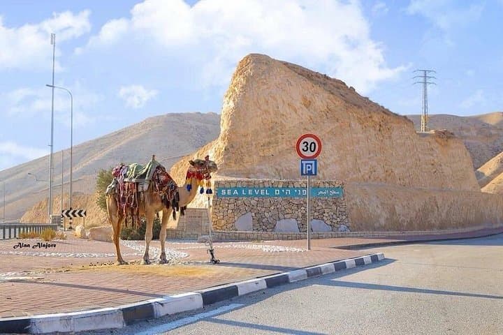 Full-Day Bethlehem & Jericho Guided Tour from Jerusalem — Banksy, Nativity & Mount of Temptation photo 4