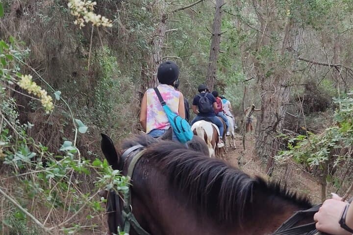 Taurus Mountains Horseback Ride: Alanya Village, Forest Trails & Mediterranean Views photo 4