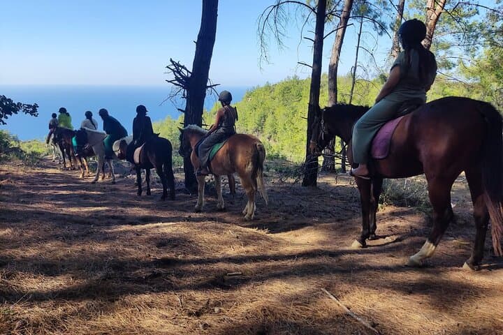 Taurus Mountains Horseback Ride: Alanya Village, Forest Trails & Mediterranean Views photo 5