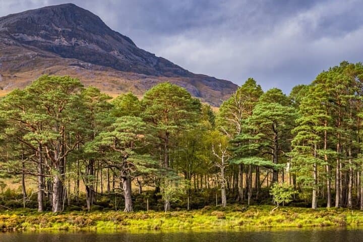 Driving the Wild West Coast: Bealach na Bà, Applecross & Torridon Day Tour photo 3