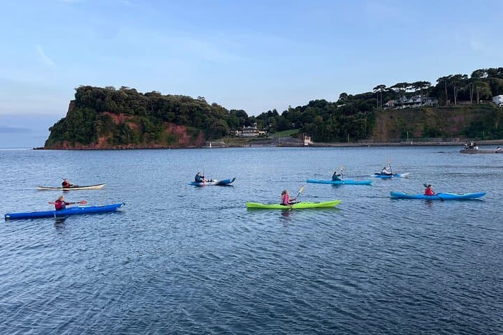 Half-Day Sea Kayak Tour on the Devon Coast — Hidden Bays, Wildlife & Beach Stop photo 5