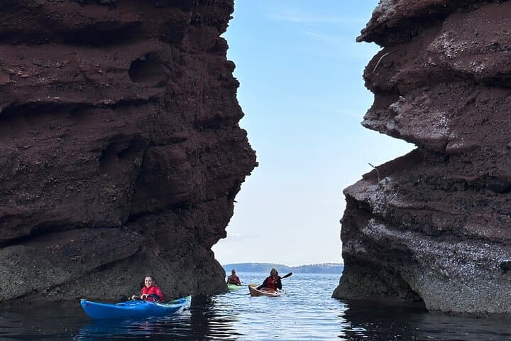 Half-Day Sea Kayak Tour on the Devon Coast — Hidden Bays, Wildlife & Beach Stop photo 6