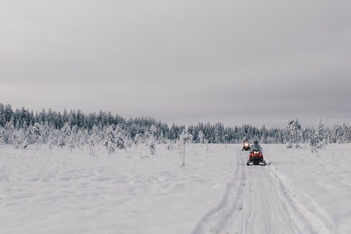 4-Hour Adventurer Snowmobile Tour — Apukka Resort, Rovaniemi photo 3