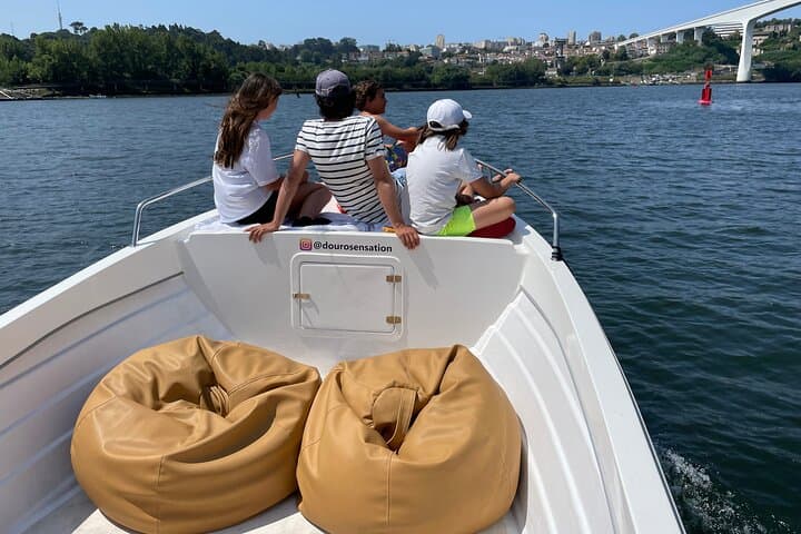 Private 2-Hour Douro River Cruise from Porto — Marina do Freixo to Foz do Douro photo 3