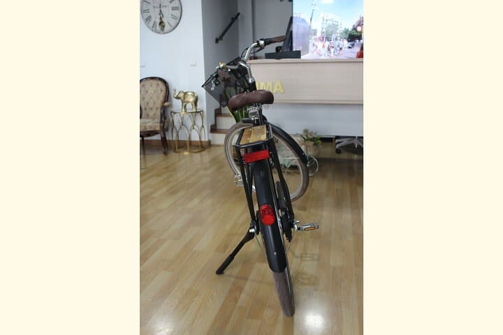 Explore Malaga by Bike: Full-Day Rental for City Sights, Beaches & Viewpoints photo 6