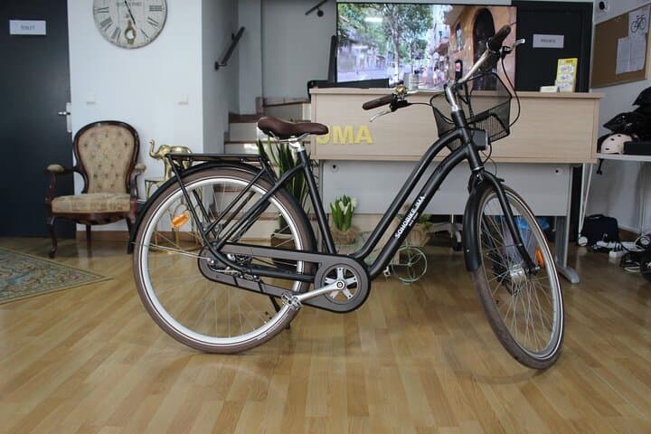 Explore Malaga by Bike: Full-Day Rental for City Sights, Beaches & Viewpoints photo 2