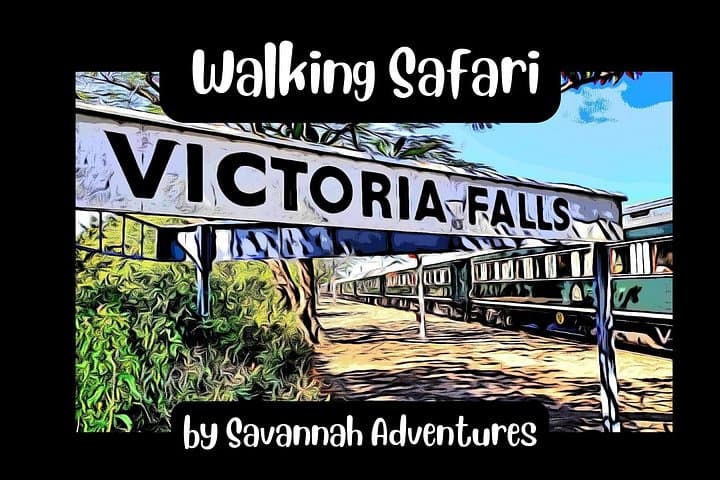 Victoria Falls Town Walking Safari: Historic Hotel, Gorge Views & Bush Wildlife photo 1