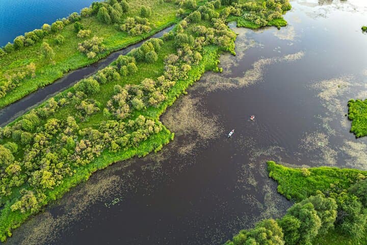 Paddle Lapland: Full-Day Canoe Trip from Rovaniemi on Arctic Rivers photo 6