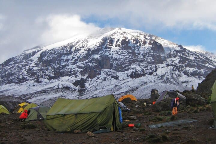 7-Day Kilimanjaro Climb via Machame Route — Summit Uhuru Peak from Moshi photo 6