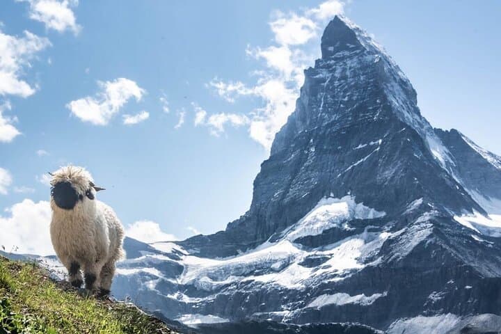 Half-Day Guided Hiking in Zermatt: Matterhorn Vistas & Hidden Alpine Lakes photo 3