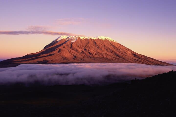 Kilimanjaro Lemosho Route: 8-Day Summit Expedition photo 3
