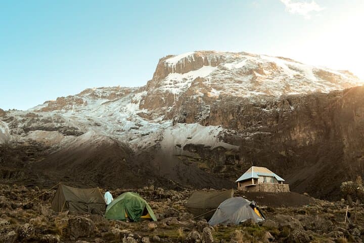 Kilimanjaro Lemosho Route: 8-Day Summit Expedition photo 4