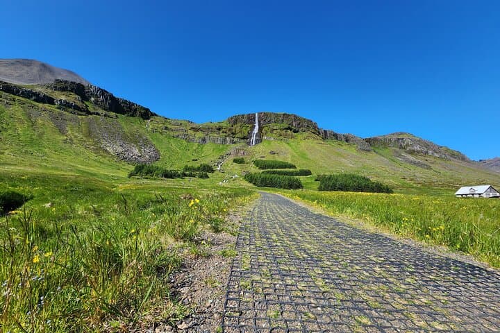 Private Full-Day Snæfellsnes and Kirkjufell Tour from Reykjavík photo 5