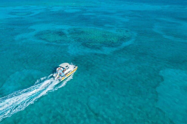 Half-Day Snorkel Cruise from Providenciales: Iguana Island & Grace Bay Beach photo 3