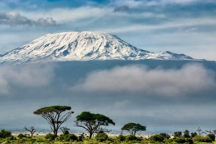 6-Day Kilimanjaro Rongai Route: Guided Summit via Rongai and Marangu Descent photo 2