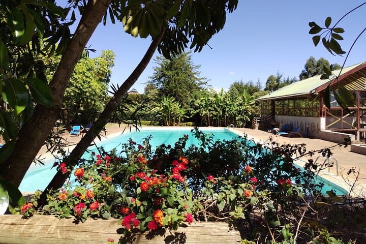 14-Day High-Altitude Running Safari in Kenya — Iten, Mt. Kenya & Rift Valley photo 5