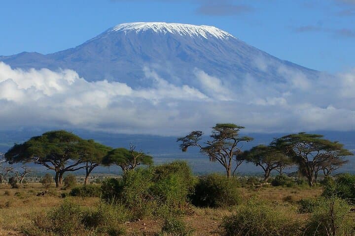 7-Day Kilimanjaro via Umbwe Route: Steep, Direct Ascent to Uhuru Peak photo 3