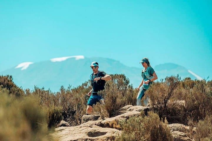14-Day Private Marathon Training Camp — Iten High-Altitude Prep & Kilimanjaro Marathon photo 4