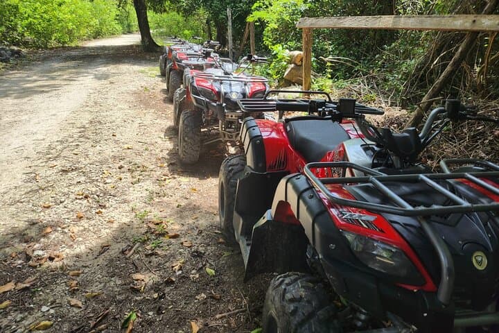 ATV Jungle Caverns & Mayan Ruins Tour — Cozumel Off‑Road Adventure photo 2