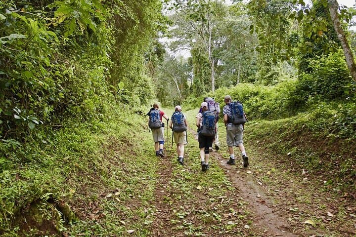 Mandara Hut Day Hike: Marangu Route Kilimanjaro from Moshi photo 2