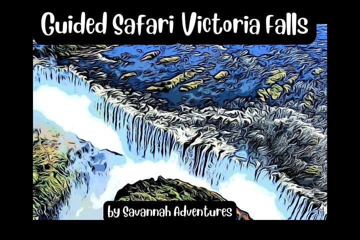 Victoria Falls Guided Walking Tour and Zimbabwe Wildlife Safari
