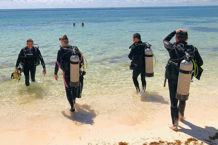 SSI Open Water Certification in Puerto Morelos — Dive the Mesoamerican Reef photo 5
